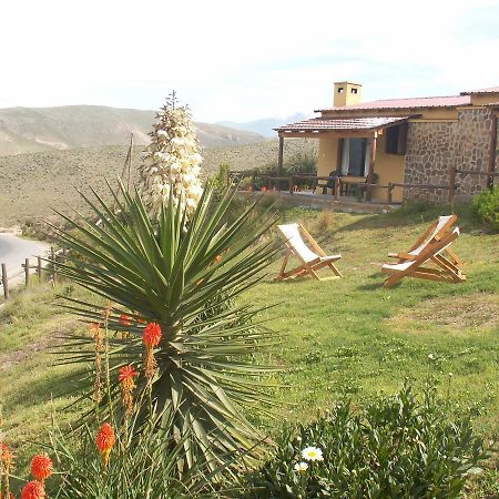 Cabanas Balcones De Tafi Tafí del Valle エクステリア 写真
